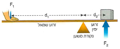 (בספר איור, היעזר במנחה)